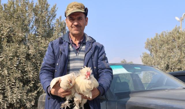 Hatay'da hem araba hem de tavuk satıyor