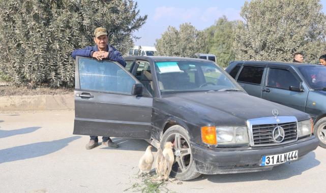 Hatay'da hem araba hem de tavuk satıyor