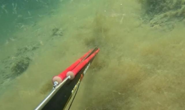 İstanbul'da denizin dibinde korkutan müsilaj manzarası