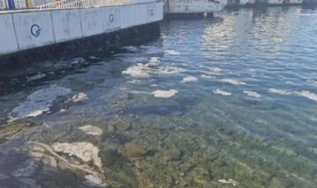 İstanbul'da denizin dibinde korkutan müsilaj manzarası