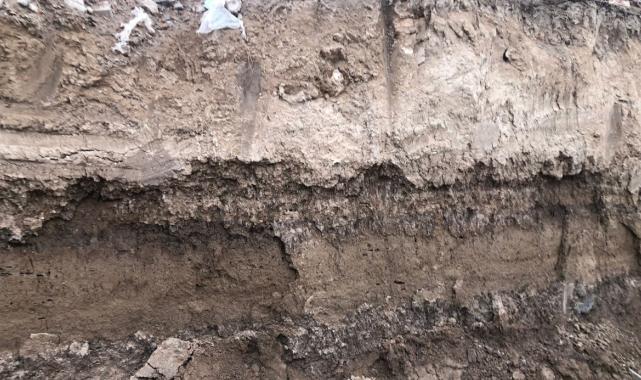 Kahramanmaraş'ta inşaat alanında kemik kalıntıları bulundu