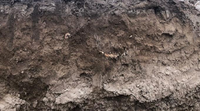 Kahramanmaraş'ta inşaat alanında kemik kalıntıları bulundu