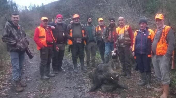 Kastamonu’da su borusunu tamir ederken domuz saldırdı