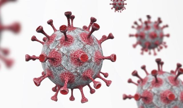 Maymun çiçeği aşısı için çalışmalar hızlandı: Türk ve İngiliz bilim insanları birlikte çalışıyor