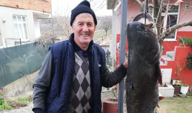 Meriç Nehri’nde 77 kilo ağırlığında yayın balığı yakaladı