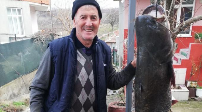 Meriç Nehri’nde 77 kilo ağırlığında yayın balığı yakaladı