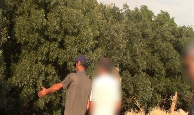 Narin Güran cinayetinde yeni gelişme: Anne Yüksel Güran'ın tutukluluğuna itiraz edildi