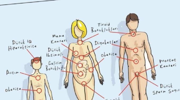 Pestisitlerde Güvenli Doz Algısı Yanıltıcı mı?
