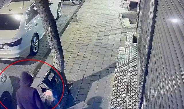 Siirt'te bir şahıs kaldırımdaki kedi evini tekmeleyerek zarar verdi