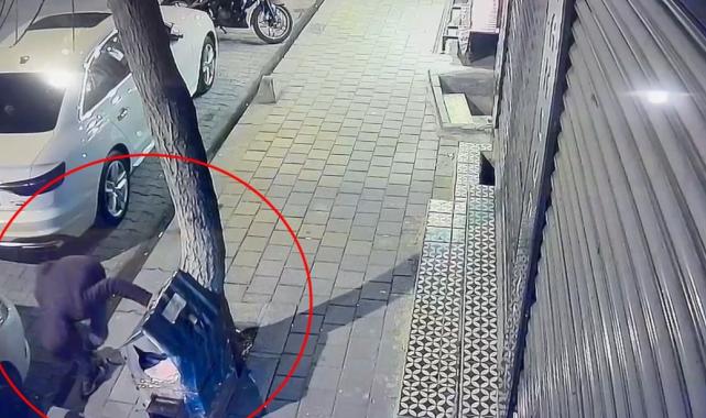 Siirt'te bir şahıs kaldırımdaki kedi evini tekmeleyerek zarar verdi