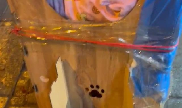 Siirt'te bir şahıs kaldırımdaki kedi evini tekmeleyerek zarar verdi