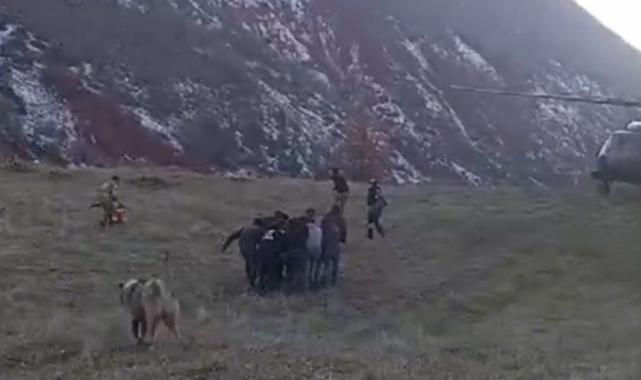 Siirt'te domuz saldırısından kaçarken uçurumdan düştü