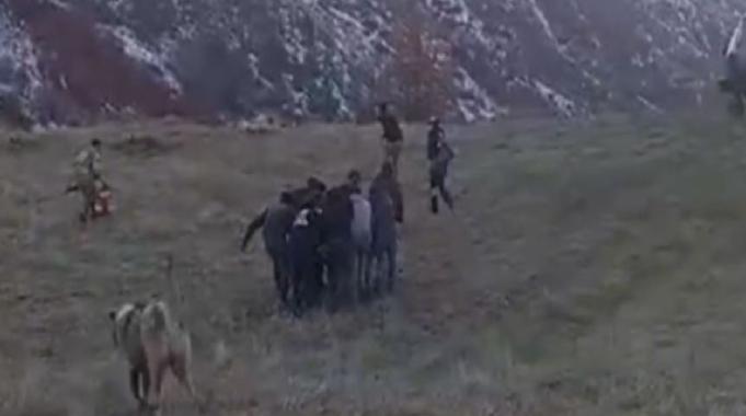 Siirt&#039;te domuz saldırısından kaçarken uçurumdan düştü