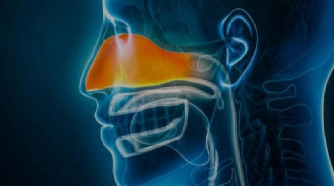 Sinüzit Aromaterapik Formülle İyileşir mi ?