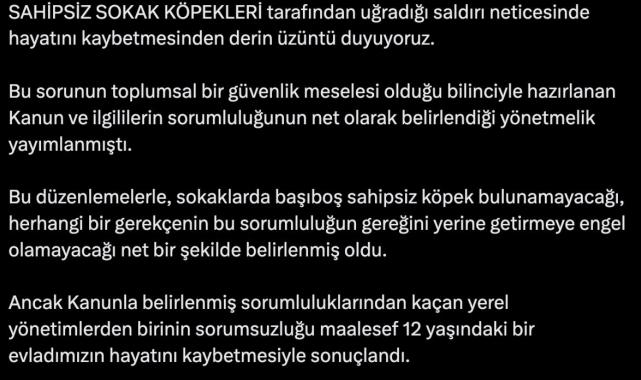 Sokak köpeklerinin saldırısında hayatını kaybetmişti: İbrahim Yumaklı'dan açıklama geldi