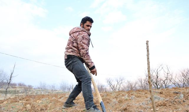 Suriye'de Esad rejiminin devrilmesi sonrası tarıma yeniden başlandı