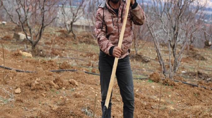 Suriye&#039;de Esad rejiminin devrilmesi sonrası tarıma yeniden başlandı