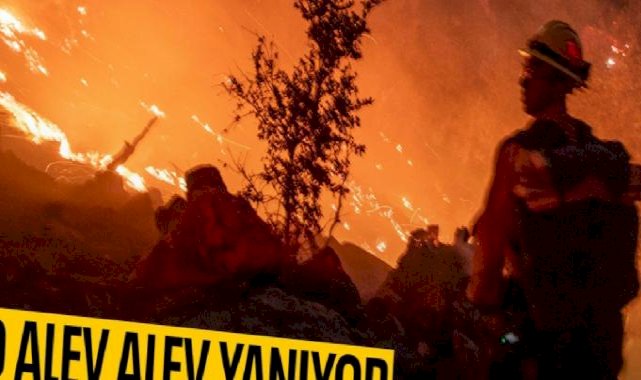 ABD'de orman yangını: Can kaybı 7'ye yükseldi