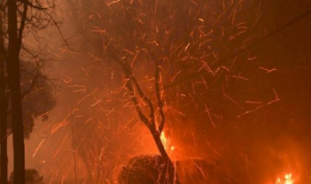 ABD'de yangın analizi: Tarihin en maliyetli yangınlarından olabilir