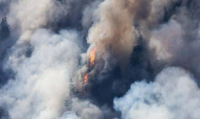 Amerika Yangını Felaketi: Son Durum 