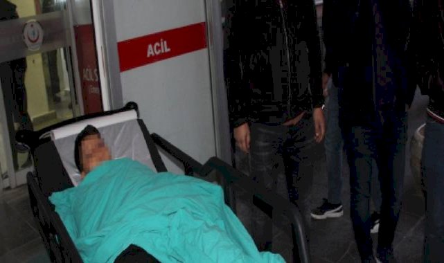 Batman'da 12 yaşındaki çocuk başıboş köpeklerin saldırısına uğradı