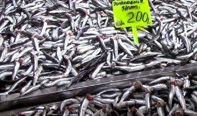 Bursa'da hamsi yeni yıla ucuzlayarak girdi