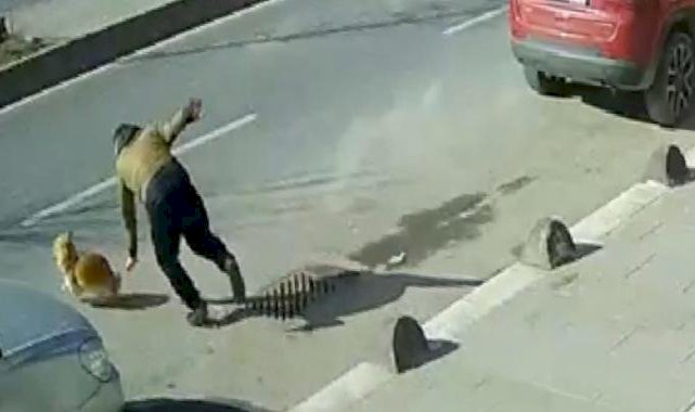 İstanbul'da kaçan köpeğini yakalamak isterken ölümden döndü