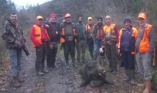 Kastamonu’da su borusunu tamir ederken domuz saldırdı