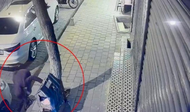 Siirt'te bir şahıs kaldırımdaki kedi evini tekmeleyerek zarar verdi