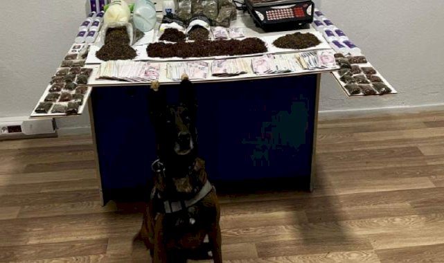 Sinop'ta uyuşturucu operasyonunda 3 kişi tutuklandı