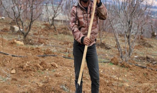 Suriye'de Esad rejiminin devrilmesi sonrası tarıma yeniden başlandı