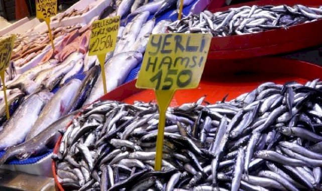 Trabzon'da balık tezgahlarında çeşit bolluğu