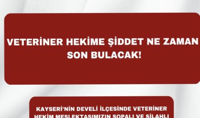 Veteriner Hekime Sopa ve Ateşli Silahla Saldırı