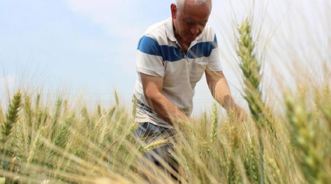 TZOB: Çiftçilerimizin girdi maliyetleri sürekli artıyor