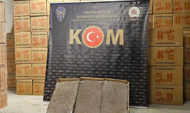 Yalova'da 3 milyon adet dolu makaron ele geçirildi