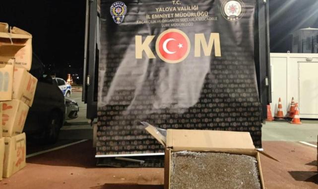 Yalova'da 3 milyon adet dolu makaron ele geçirildi