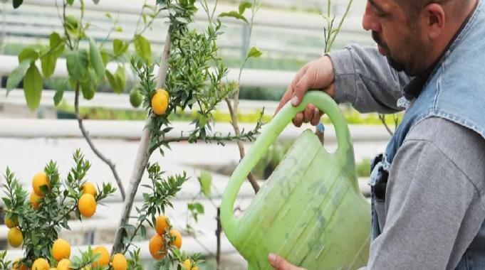 Ankara’da doğru bilinen yanlışları öğrenecekler