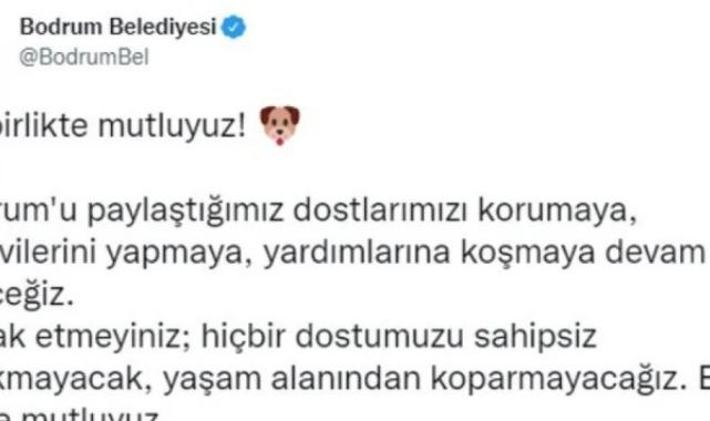 Bakanlık valiliklere yazı gönderdi: Belediyelere sahipsiz köpek başına 71 bin TL ceza kesilecek