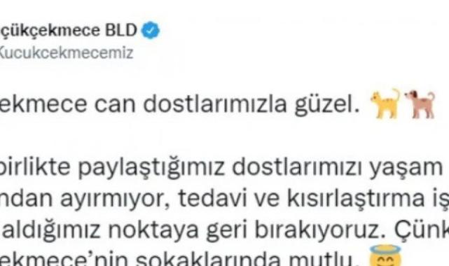 Bakanlık valiliklere yazı gönderdi: Belediyelere sahipsiz köpek başına 71 bin TL ceza kesilecek