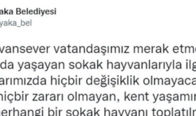 Bakanlık valiliklere yazı gönderdi: Belediyelere sahipsiz köpek başına 71 bin TL ceza kesilecek