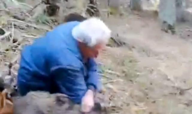 Bilecik'te 70 yaşındaki avcı, yaban domuzunu elleriyle yakaladı