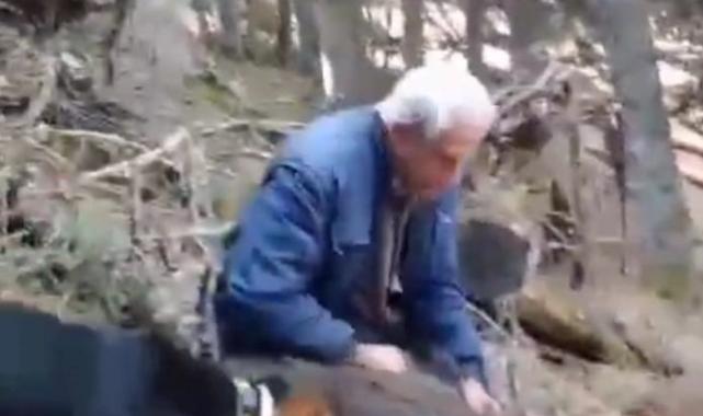 Bilecik'te 70 yaşındaki avcı, yaban domuzunu elleriyle yakaladı