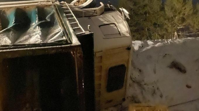 Bolu&#039;da kamyon devrildi: Yüzlerce tavuk telef oldu