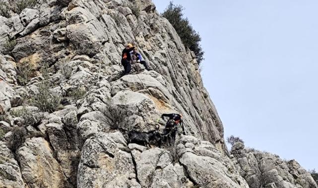 Burdur'da dağda mahsur kalan keçileri AFAD kurtardı