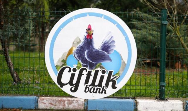 'Çiftlik Bank' davasında karar açıklanacak: 88 bin 302 yıl hapsi isteniyor
