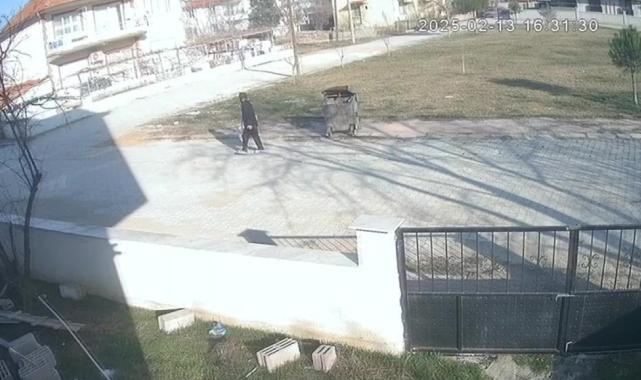 Denizli'de ayaklarını iple bağladığı köpeği çöpe attı