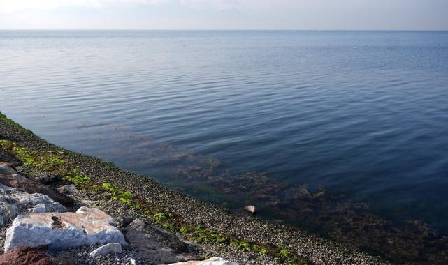 Ege Denizi'nde yaşanan depremleri uzmanlar değerlendirdi
