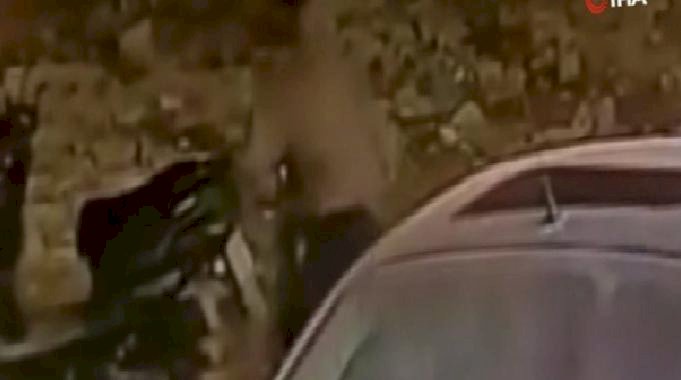 Hatay&#039;da biri gözcülük yaptı, diğeri motoru çaldı