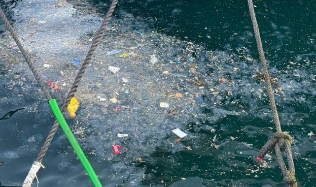 İstanbul'da Beşiktaş sahilini çöp kapladı: Vatandaşlar tepki gösterdi