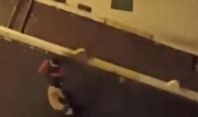 İstanbul'da oyuncak ayı hırsızından ilginç savunma: Beğendim aldım